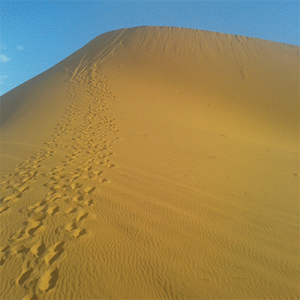 circuit desert Sahara Maroc